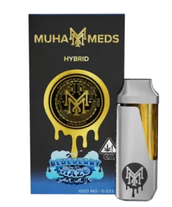 Blueberry Haze Disposables| Hybrid
